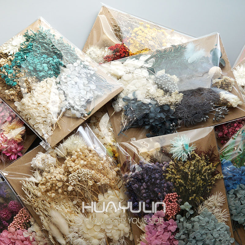 Dried Flower Bulk - 1 pacote de plantas artificiais secas