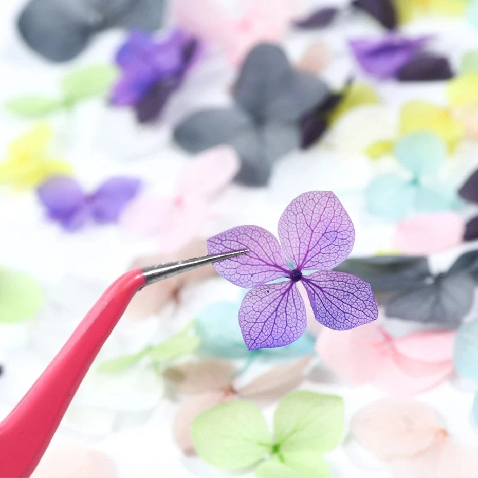Decoração de unhas de flores s - Dried Flower Bulk avaliação e preço