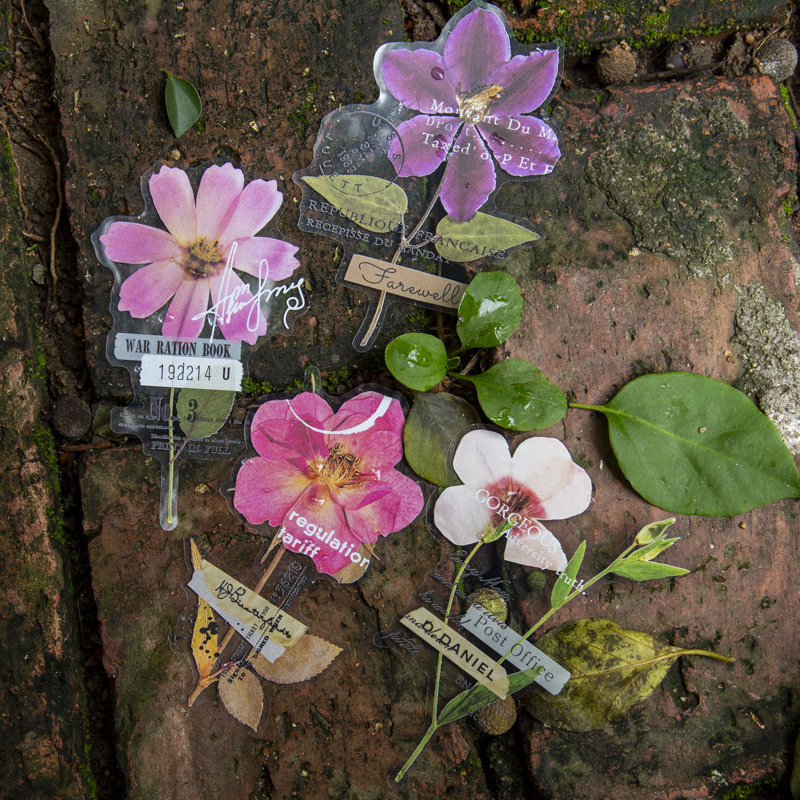 Pacote com 10 Adesivos da Séri - Dried Flower Bulk avaliação e preço