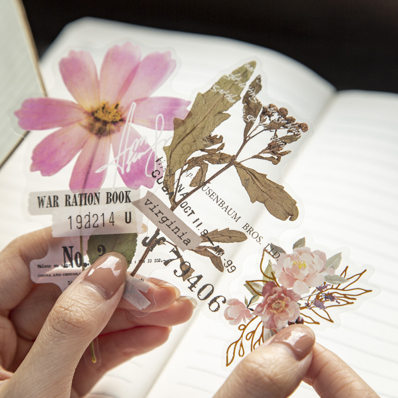 Pacote com 10 Adesivos da Séri - Dried Flower Bulk avaliação e preço