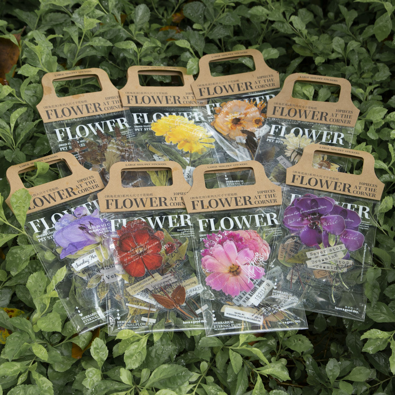 Pacote com 10 Adesivos da Séri - Dried Flower Bulk avaliação e preço