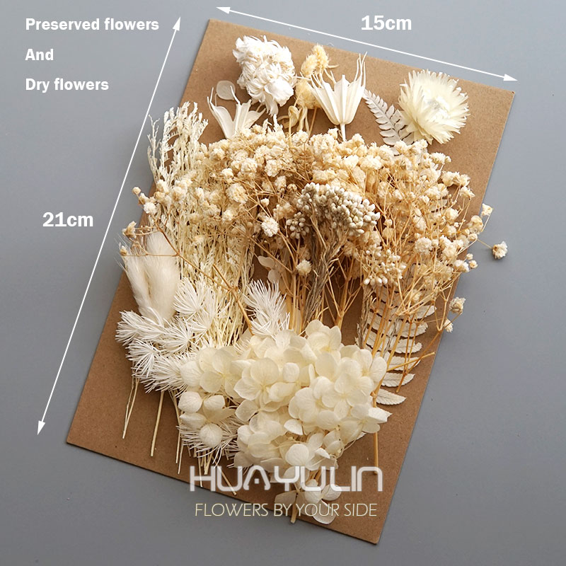 1 pacote de plantas artificiai - Dried Flower Bulk avaliação e preço