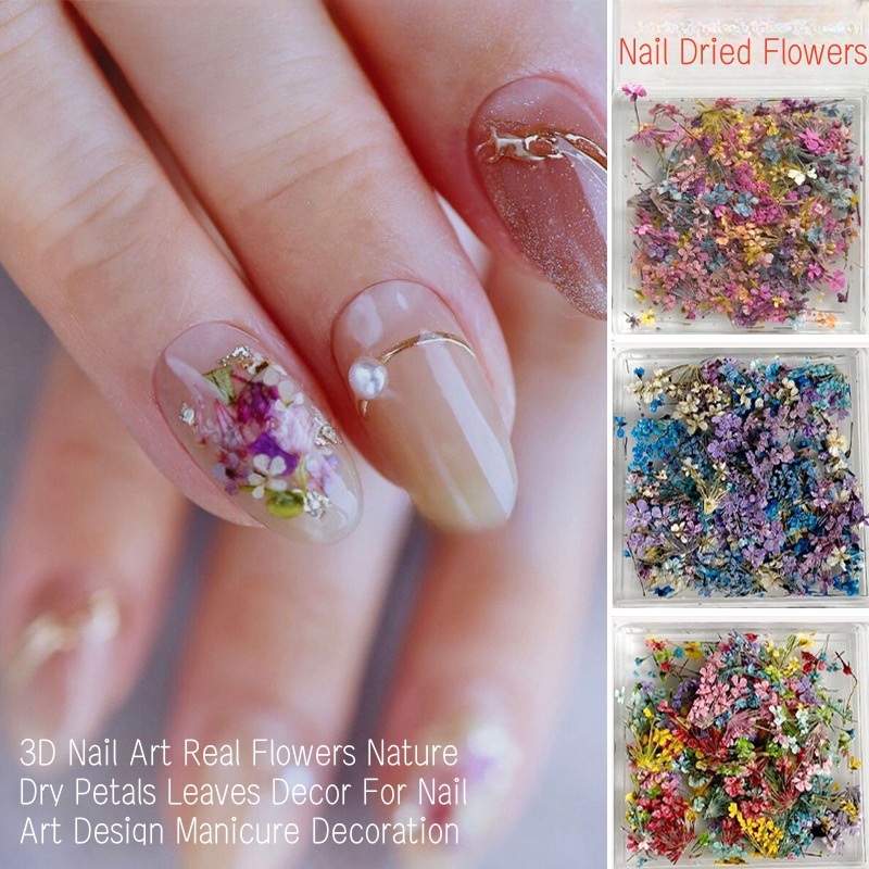 Misturadas pequenas flores sec - Dried Flower Bulk avaliação e preço